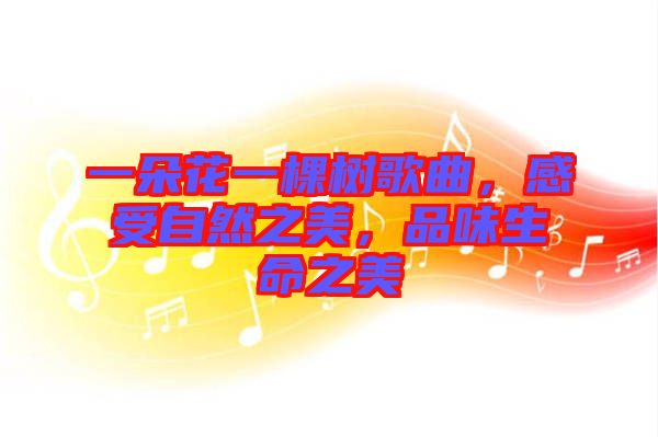 一朵花一棵樹歌曲，感受自然之美，品味生命之美