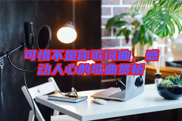 可惜不是你歌詞曲，感動(dòng)人心的歌曲賞析