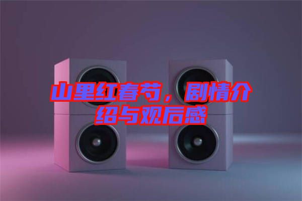 山里紅春芍，劇情介紹與觀后感