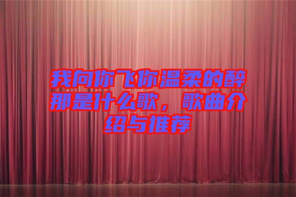 我向你飛你溫柔的醉那是什么歌，歌曲介紹與推薦