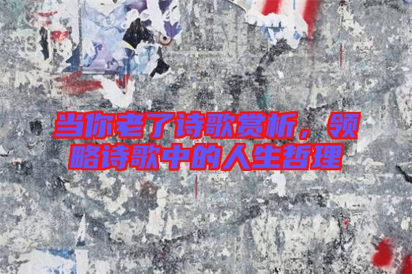 當(dāng)你老了詩(shī)歌賞析，領(lǐng)略詩(shī)歌中的人生哲理
