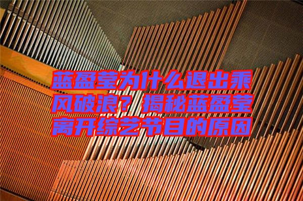藍(lán)盈瑩為什么退出乘風(fēng)破浪？揭秘藍(lán)盈瑩離開(kāi)綜藝節(jié)目的原因