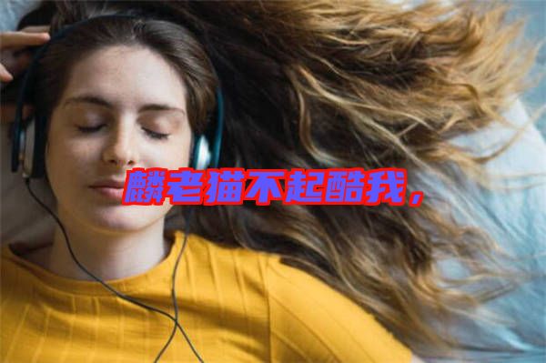 麟老貓不起酷我，