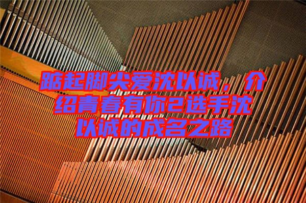 踮起腳尖愛沈以誠(chéng)，介紹青春有你2選手沈以誠(chéng)的成名之路