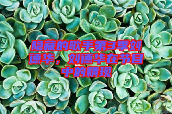 隱藏的歌手第3季劉德華，劉德華在節(jié)目中的精現(xiàn)