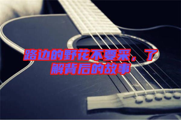 路邊的野花不要采，了解背后的故事