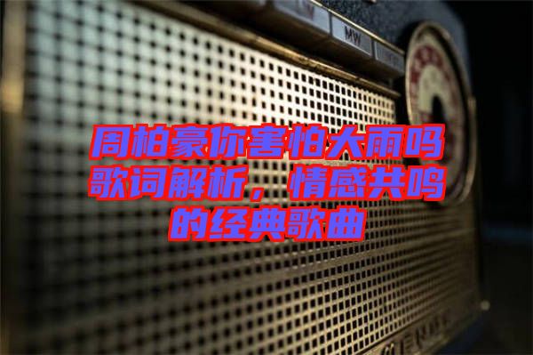 周柏豪你害怕大雨嗎歌詞解析，情感共鳴的經(jīng)典歌曲