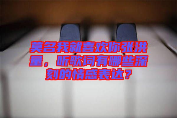 莫名我就喜歡你張洪量，聽歌詞有哪些深刻的情感表達？