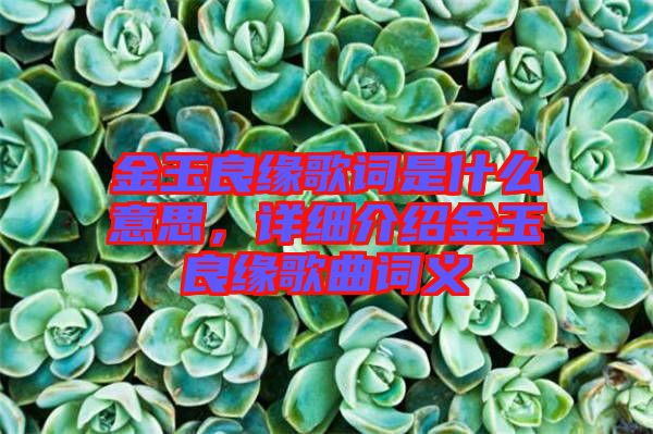 金玉良緣歌詞是什么意思，詳細介紹金玉良緣歌曲詞義