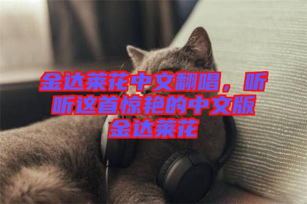 金達(dá)萊花中文翻唱，聽(tīng)聽(tīng)這首驚艷的中文版金達(dá)萊花