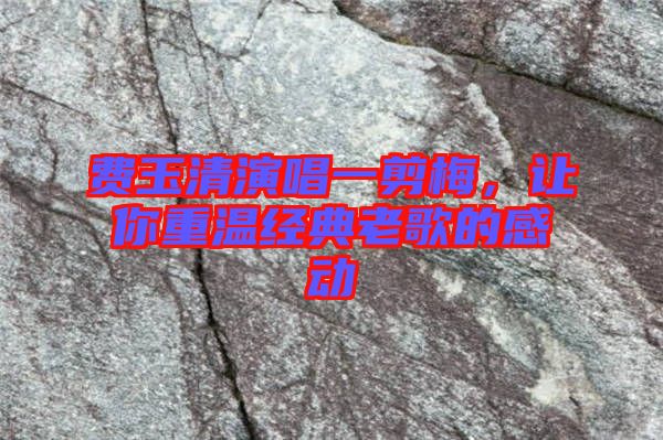 費(fèi)玉清演唱一剪梅，讓你重溫經(jīng)典老歌的感動(dòng)