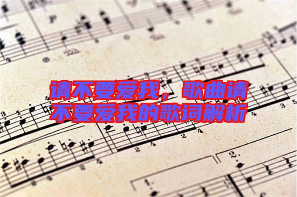 請不要愛我，歌曲請不要愛我的歌詞解析