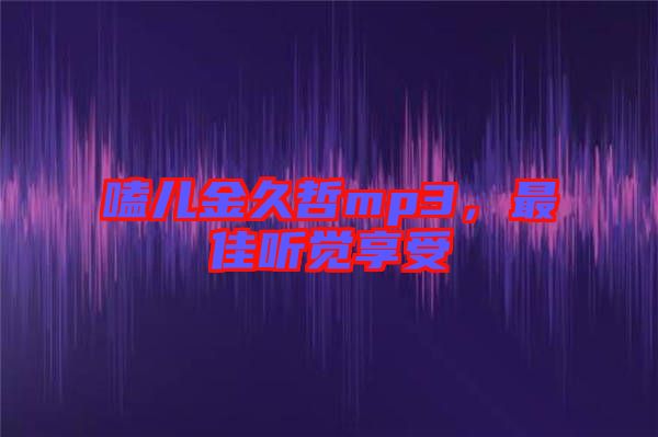 嗑兒金久哲mp3，最佳聽覺享受