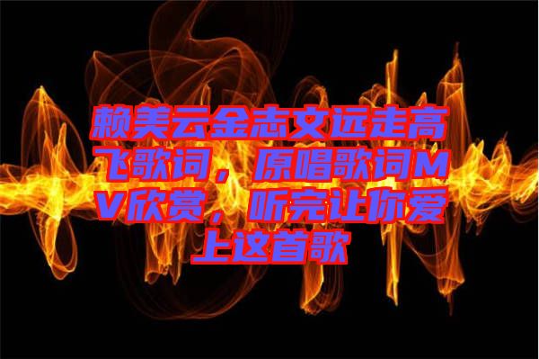 賴美云金志文遠(yuǎn)走高飛歌詞，原唱歌詞MV欣賞，聽完讓你愛上這首歌