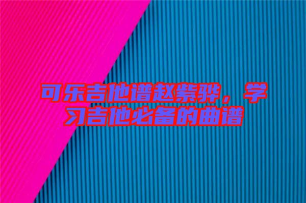 可樂(lè)吉他譜趙紫驊，學(xué)習(xí)吉他必備的曲譜