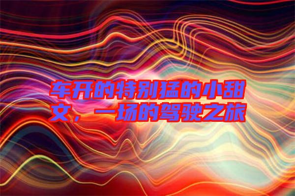 車開的特別猛的小甜文，一場的駕駛之旅