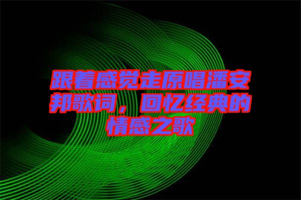 跟著感覺走原唱潘安邦歌詞，回憶經(jīng)典的情感之歌
