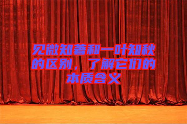 見(jiàn)微知著和一葉知秋的區(qū)別，了解它們的本質(zhì)含義