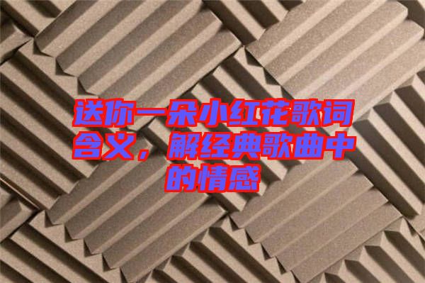 送你一朵小紅花歌詞含義，解經(jīng)典歌曲中的情感