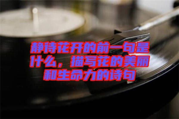 靜待花開的前一句是什么，描寫花的美麗和生命力的詩(shī)句