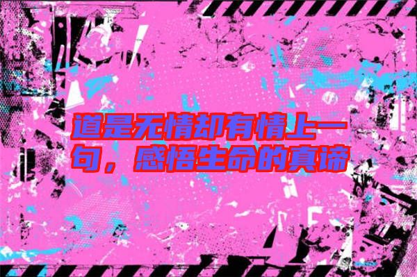 道是無情卻有情上一句，感悟生命的真諦