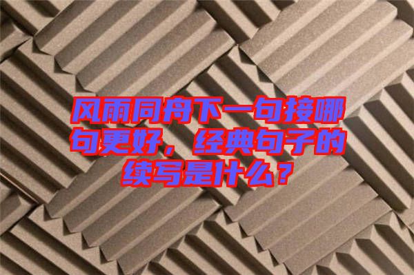 風(fēng)雨同舟下一句接哪句更好，經(jīng)典句子的續(xù)寫是什么？