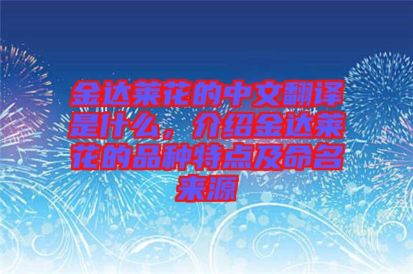 金達(dá)萊花的中文翻譯是什么，介紹金達(dá)萊花的品種特點(diǎn)及命名來(lái)源