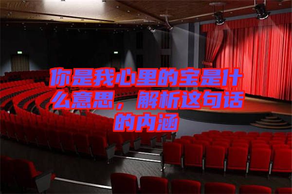 你是我心里的寶是什么意思，解析這句話的內(nèi)涵