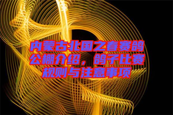 內(nèi)蒙古北國(guó)之春賽鴿公棚介紹，鴿子比賽規(guī)則與注意事項(xiàng)