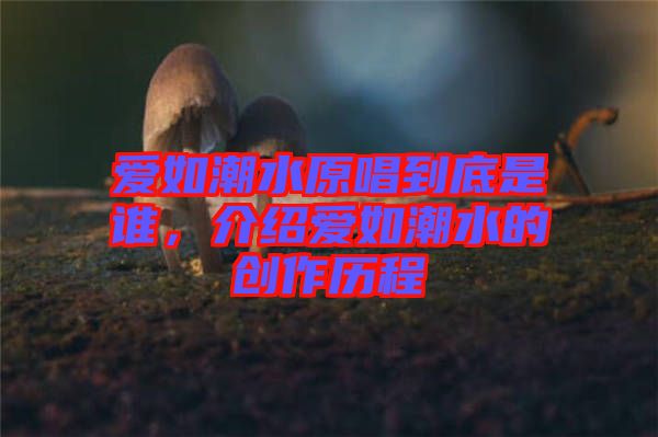 愛如潮水原唱到底是誰，介紹愛如潮水的創(chuàng)作歷程