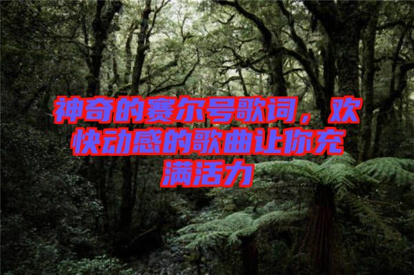 神奇的賽爾號(hào)歌詞，歡快動(dòng)感的歌曲讓你充滿活力