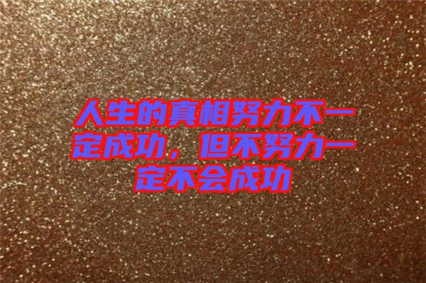 人生的真相努力不一定成功，但不努力一定不會成功