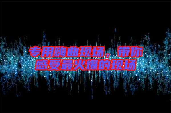 專(zhuān)用嗨曲現(xiàn)場(chǎng)，帶你感受最火爆的現(xiàn)場(chǎng)