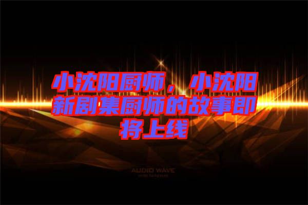 小沈陽廚師，小沈陽新劇集廚師的故事即將上線