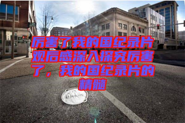 厲害了我的國紀錄片觀后感深入探究厲害了，我的國紀錄片的精髓