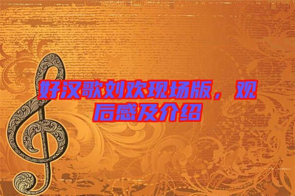 好漢歌劉歡現(xiàn)場版，觀后感及介紹