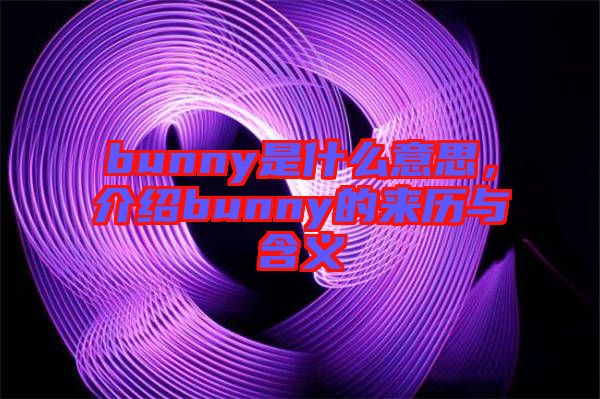 bunny是什么意思，介紹bunny的來歷與含義