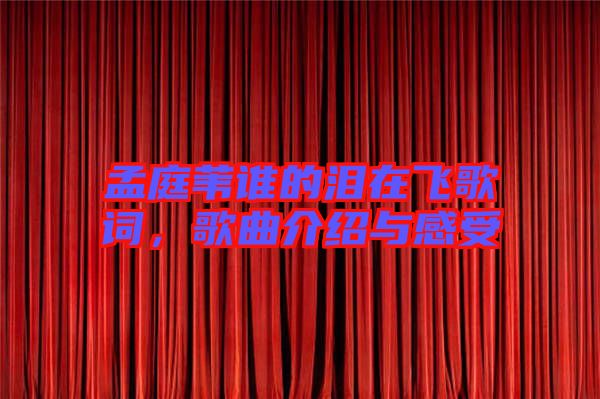 孟庭葦誰的淚在飛歌詞，歌曲介紹與感受