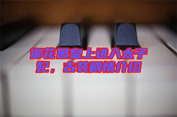 御花園皇上進入太子妃，古裝劇情介紹