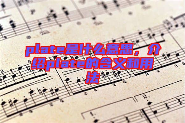 plate是什么意思，介紹plate的含義和用法