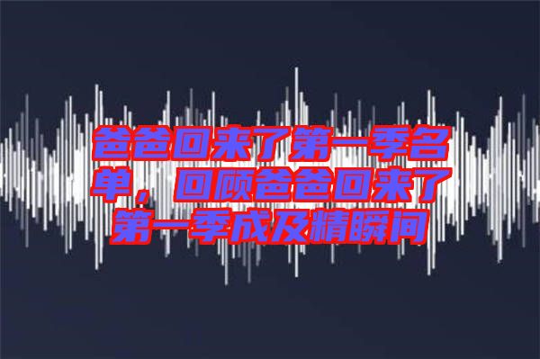 爸爸回來了第一季名單，回顧爸爸回來了第一季成及精瞬間