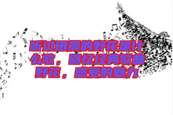聽過田震的野花是什么歌，回憶經(jīng)典歌曲野花，感受的魅力