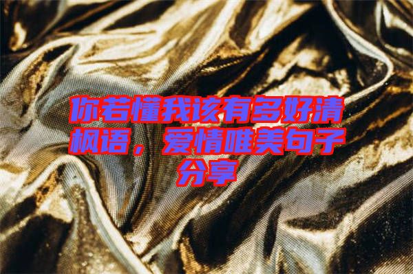 你若懂我該有多好清楓語(yǔ)，愛(ài)情唯美句子分享