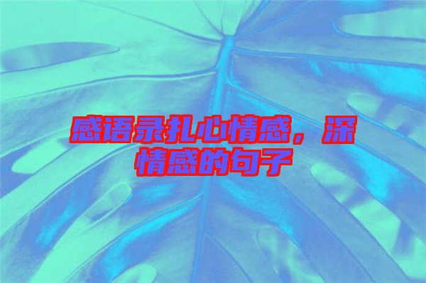 感語(yǔ)錄扎心情感，深情感的句子