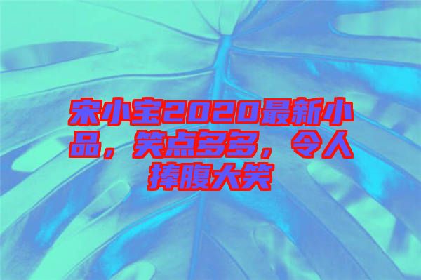 宋小寶2020最新小品，笑點多多，令人捧腹大笑