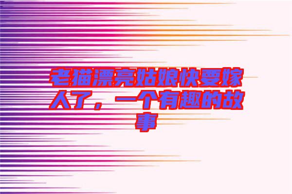 老貓漂亮姑娘快要嫁人了，一個有趣的故事