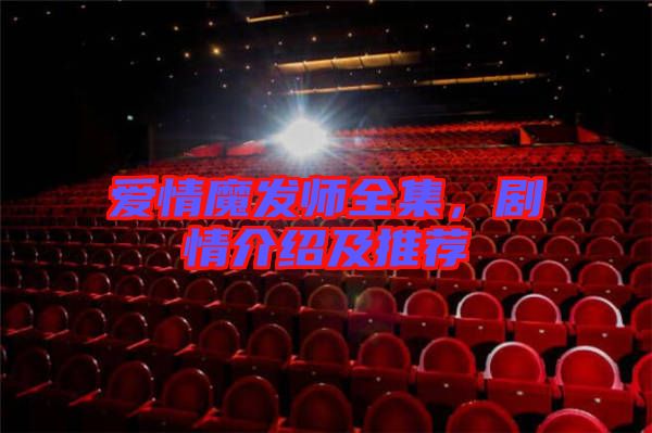 愛情魔發(fā)師全集，劇情介紹及推薦
