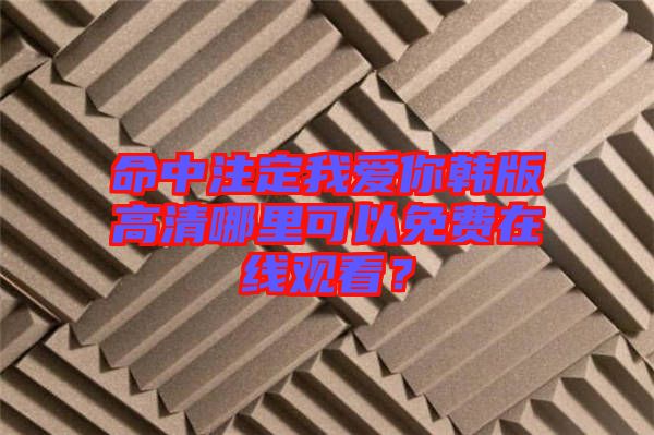 命中注定我愛你韓版高清哪里可以免費(fèi)在線觀看？