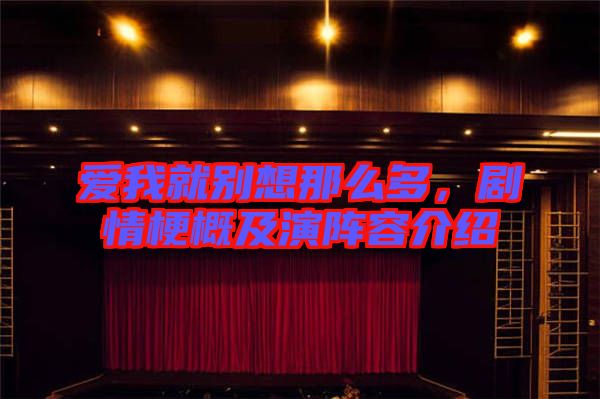 愛我就別想那么多，劇情梗概及演陣容介紹