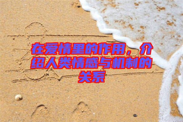 在愛情里的作用，介紹人類情感與機制的關(guān)系